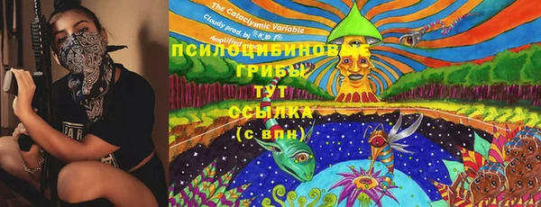 амф Медвежьегорск